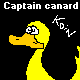 capitainecanard